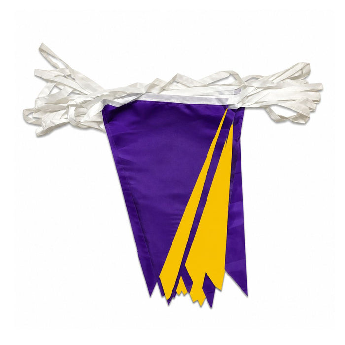 Bunting Purple and Gold 10m (33ft)